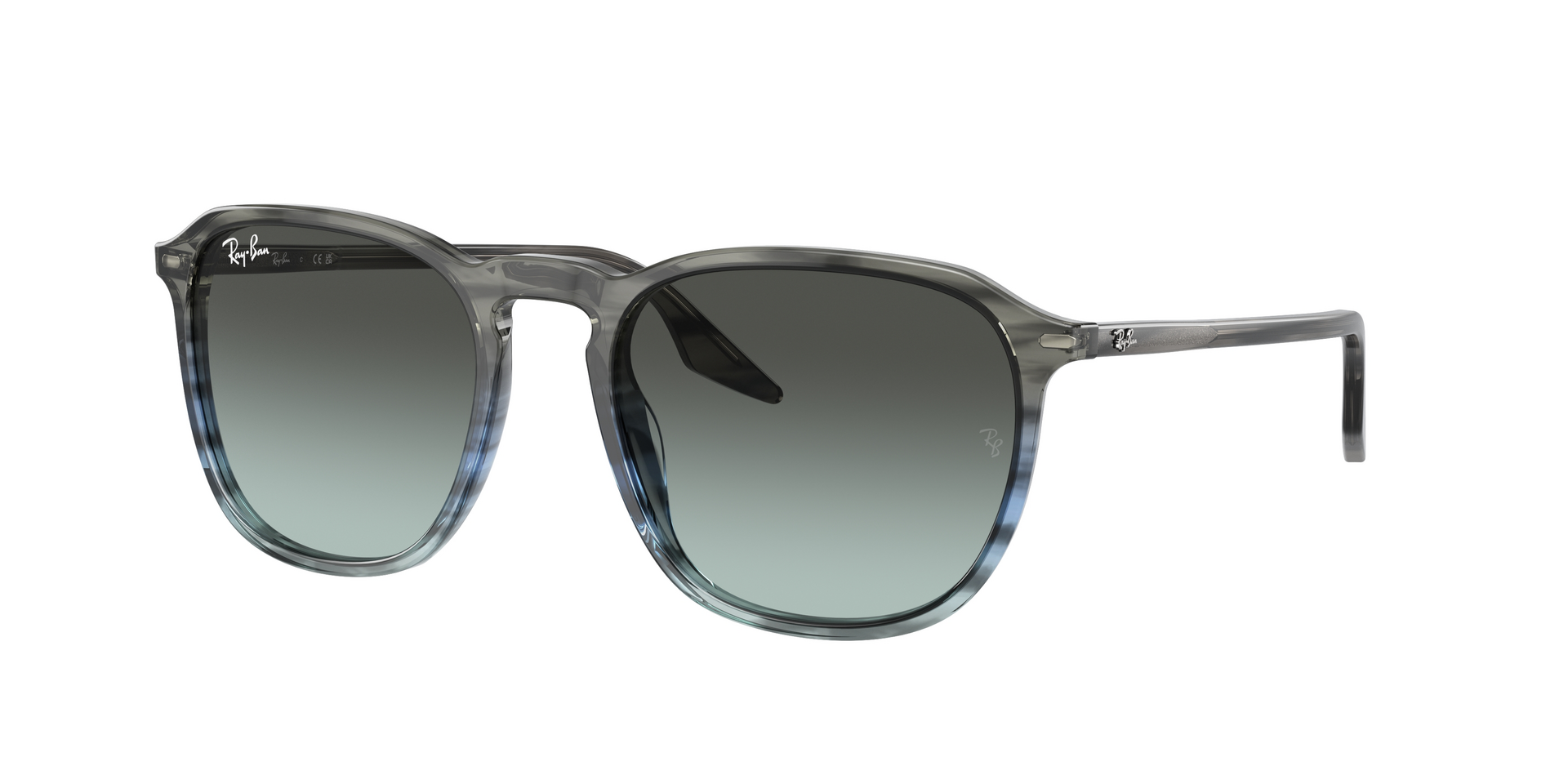 RAYBAN 0RB2203 1391GK 52