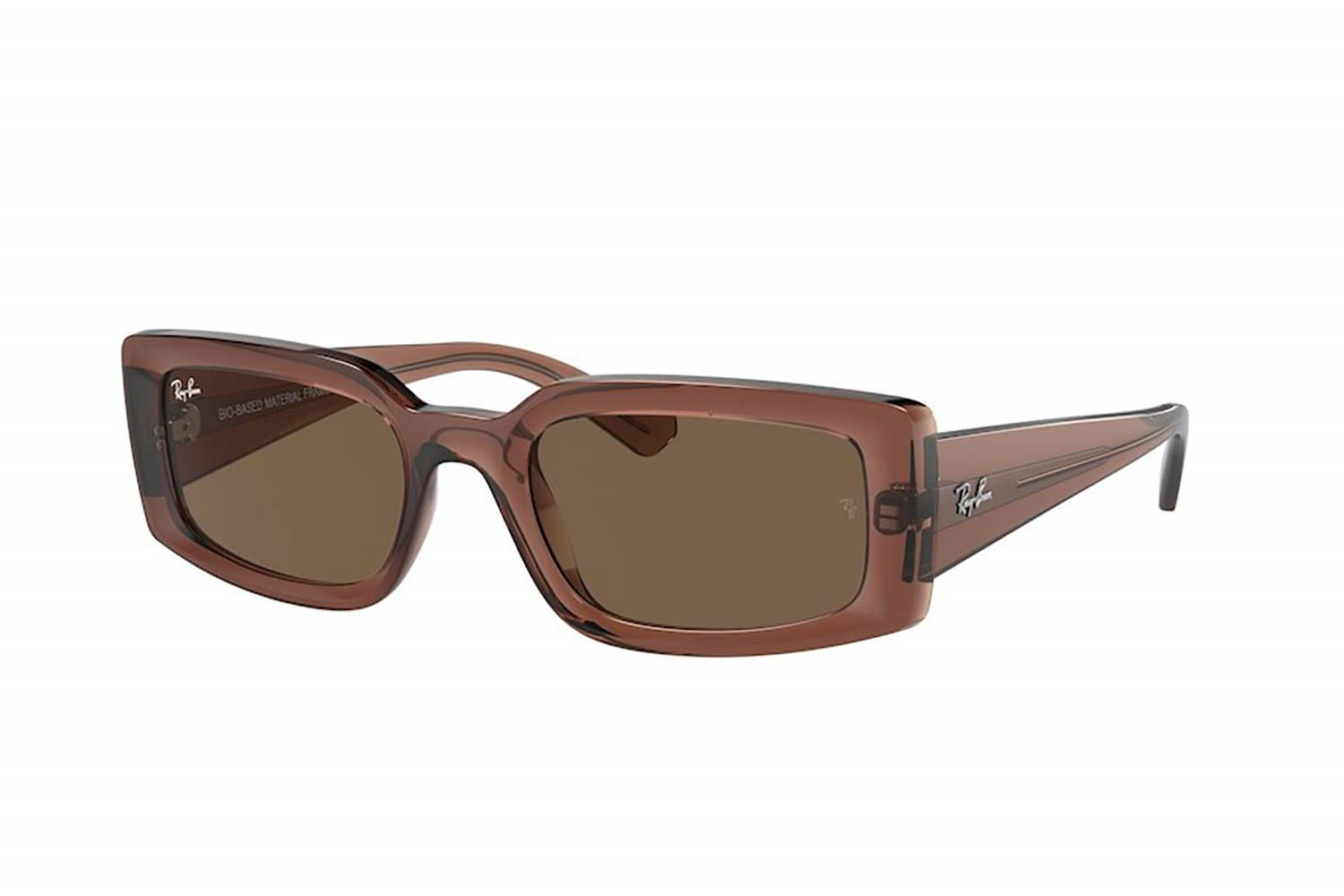 RAYBAN 4395 667873 54