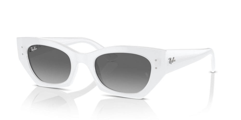 RAYBAN 4430 675911 49