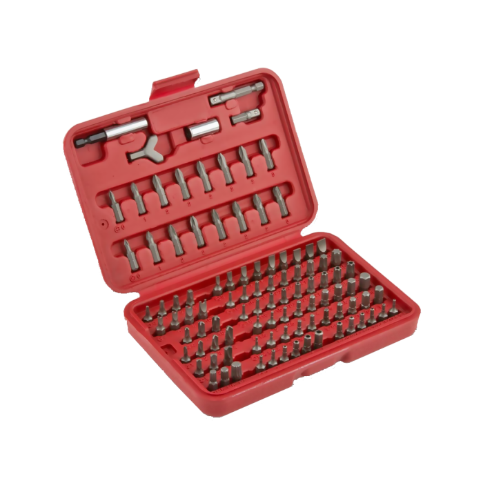 100 Parça Cr-V Bits Set