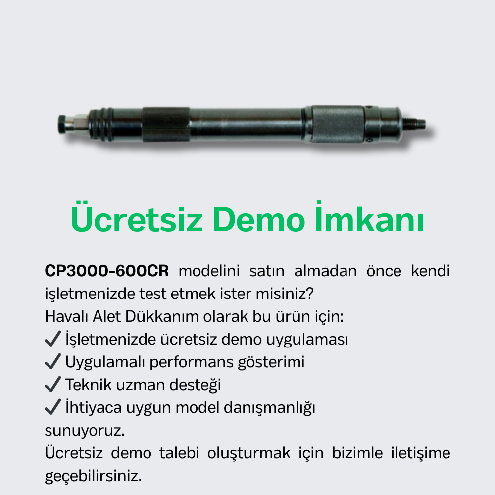 Chicago Pneumatic CP3000-600CR Havalı Kalıpçı Taşlama 1/8