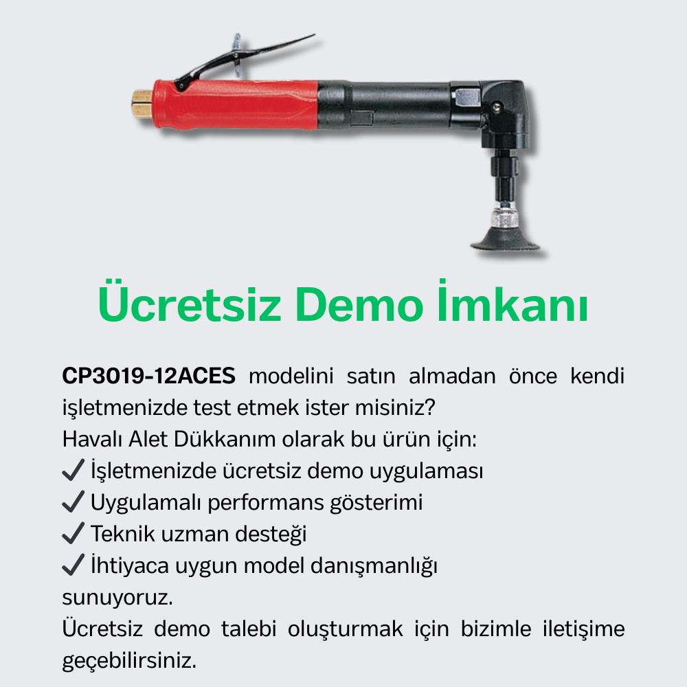 Chicago Pneumatic CP3019-12ACES Havalı Açılı Kalıpçı Taşlama Makinesi 6 mm