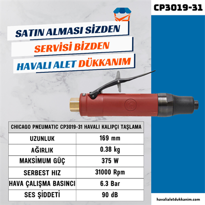 Chicago Pneumatic CP3019-31 Havalı Kalıpçı Taşlama 1/4