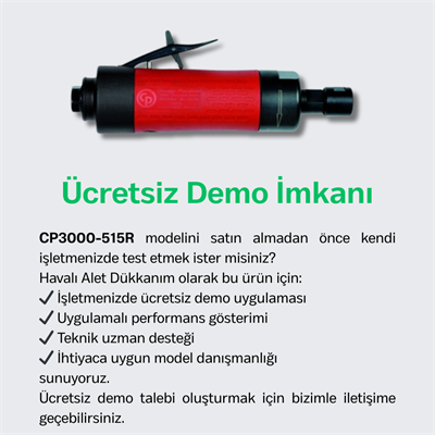 Chicago Pneumatic CP3000-520R Havalı Kalıpçı Taşlama 1/4