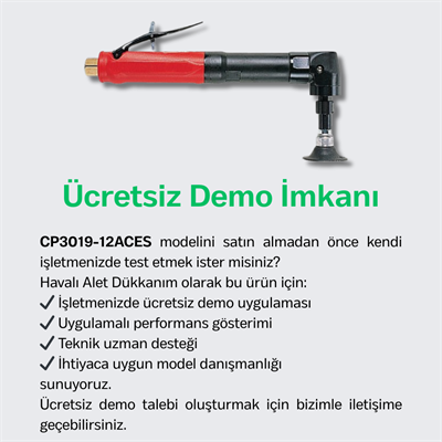 Chicago Pneumatic CP3019-12ACES Havalı Açılı Kalıpçı Taşlama Makinesi 6 mm