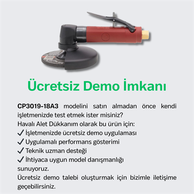 Chicago Pneumatic CP3019-18A3 Havalı Açılı Kalıpçı Taşlama Makinesi 3