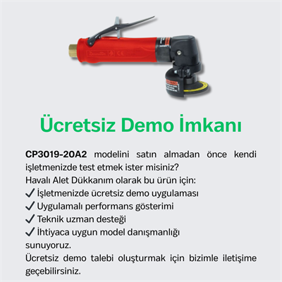 Chicago Pneumatic CP3019-20A2 Havalı Açılı Kalıpçı Taşlama Makinesi 50 mm