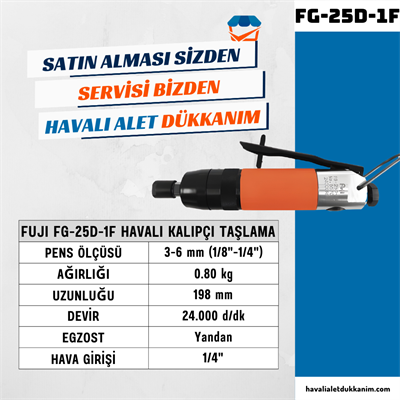 FUJI FG-25D-1F Havalı Kalıpçı Taşlama