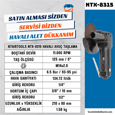 NTAirTools NTX-8315 Havalı Avuç Taşlama 115 mm