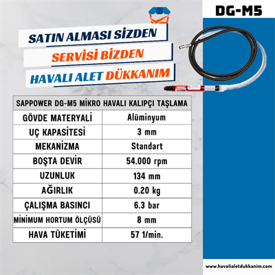 SAPPOWER DG-M5 Mikro Havalı Kalıpçı Taşlama