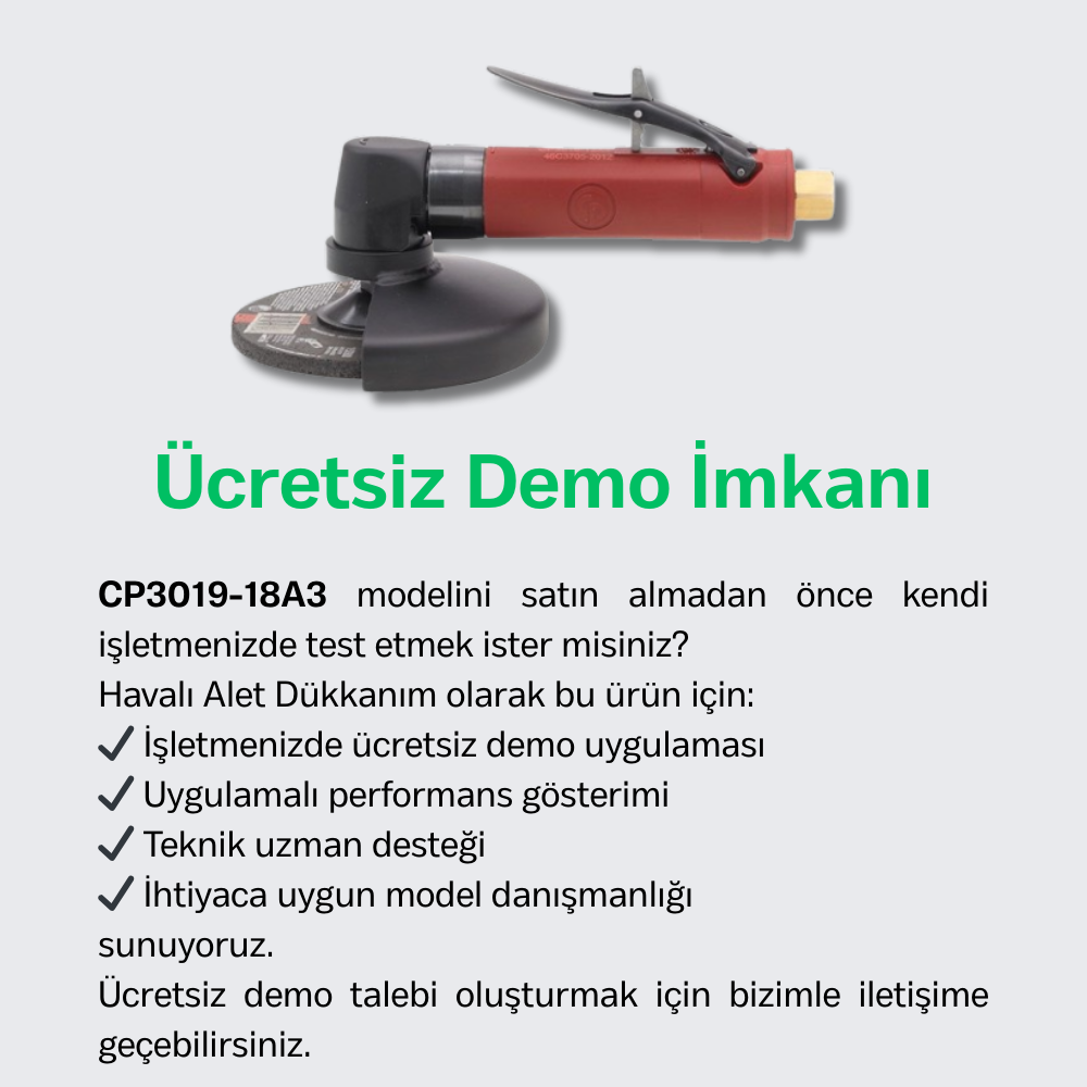 Chicago Pneumatic CP3019-18A3 Havalı Açılı Kalıpçı Taşlama Makinesi 3