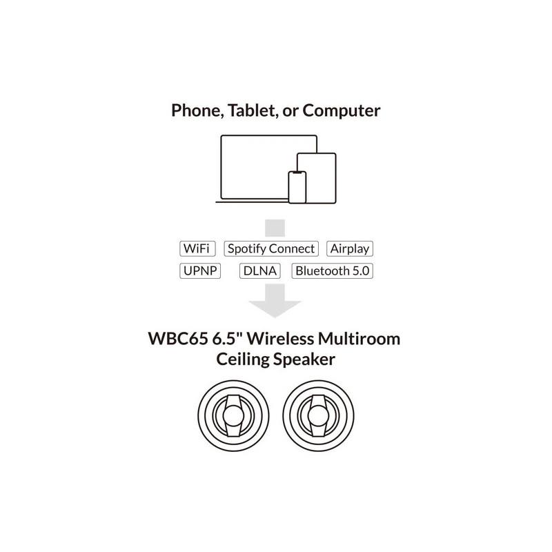 Arylic WBC65 6.5