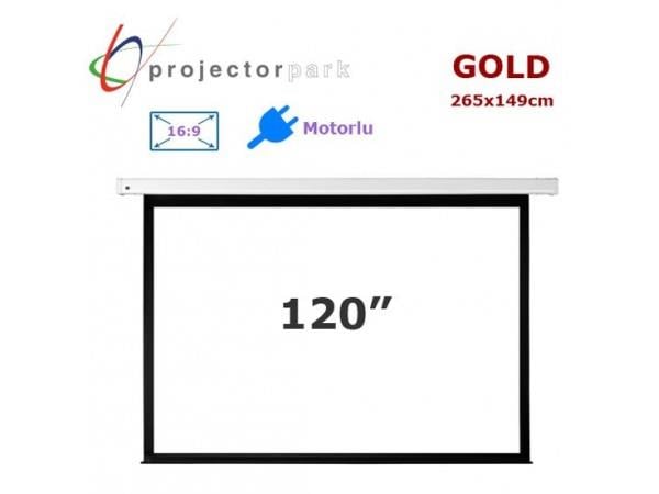 PROJECTORPARK Gold-B 265 x 149 cm 16:9 120