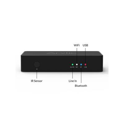 Arylic S10 WiFi Music Streamer