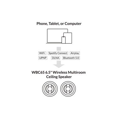 Arylic WBC65 6.5