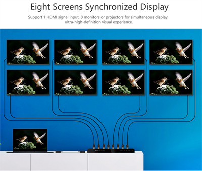 LENKENG LKV318HDR-V3.0