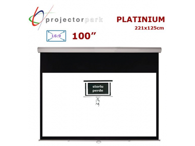 PROJECTORPARK Platinium 221 x 125 cm 16:9 100