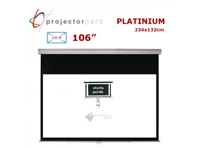 PROJECTORPARK Platinium 234 x 132 cm 16:9 106