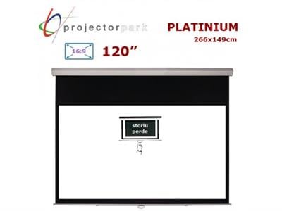 PROJECTORPARK Platinium 266 x 149 cm 16:9 120