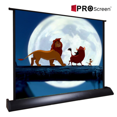 PROSCREEN 80x60 40 Masaüstü Projeksiyon Perde