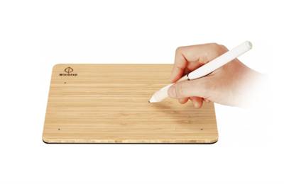 ViewSonic Woodpad700 