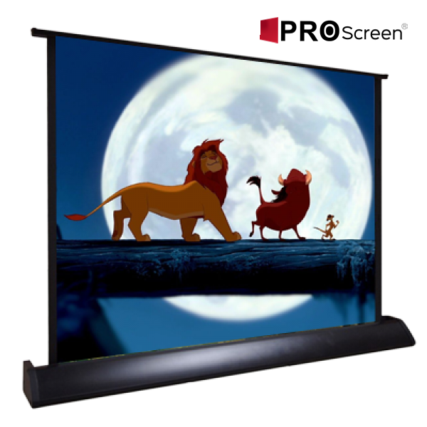PROSCREEN 80x60 40'' Masaüstü Projeksiyon Perde
