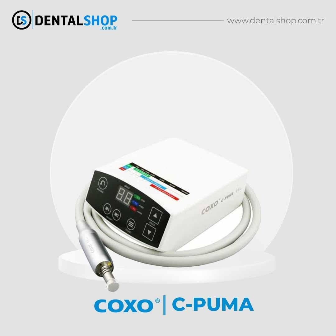 COXO C-PUMA ELEKTRİKLİ MOTOR