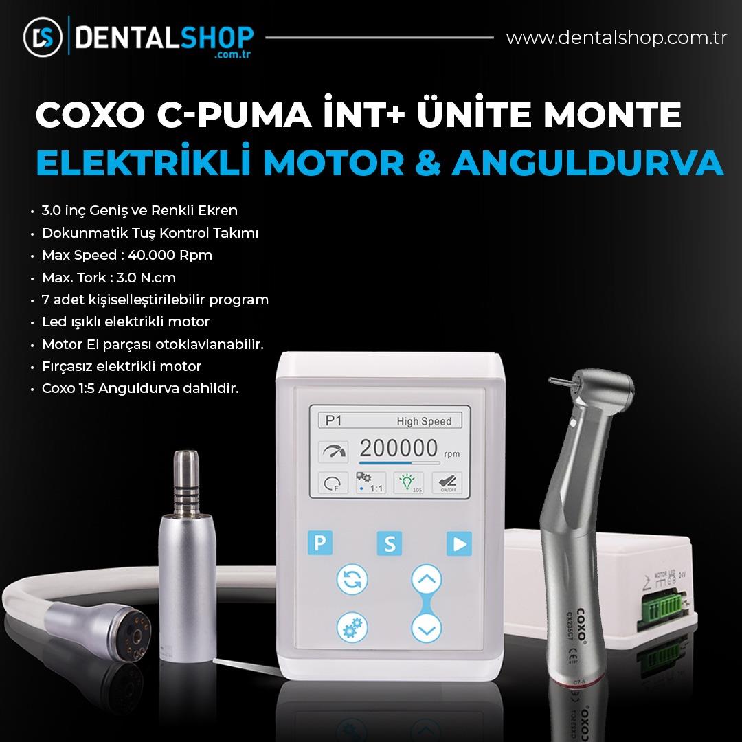 COXO C-PUMA Int+ ELEKTRİKLİ MOTOR