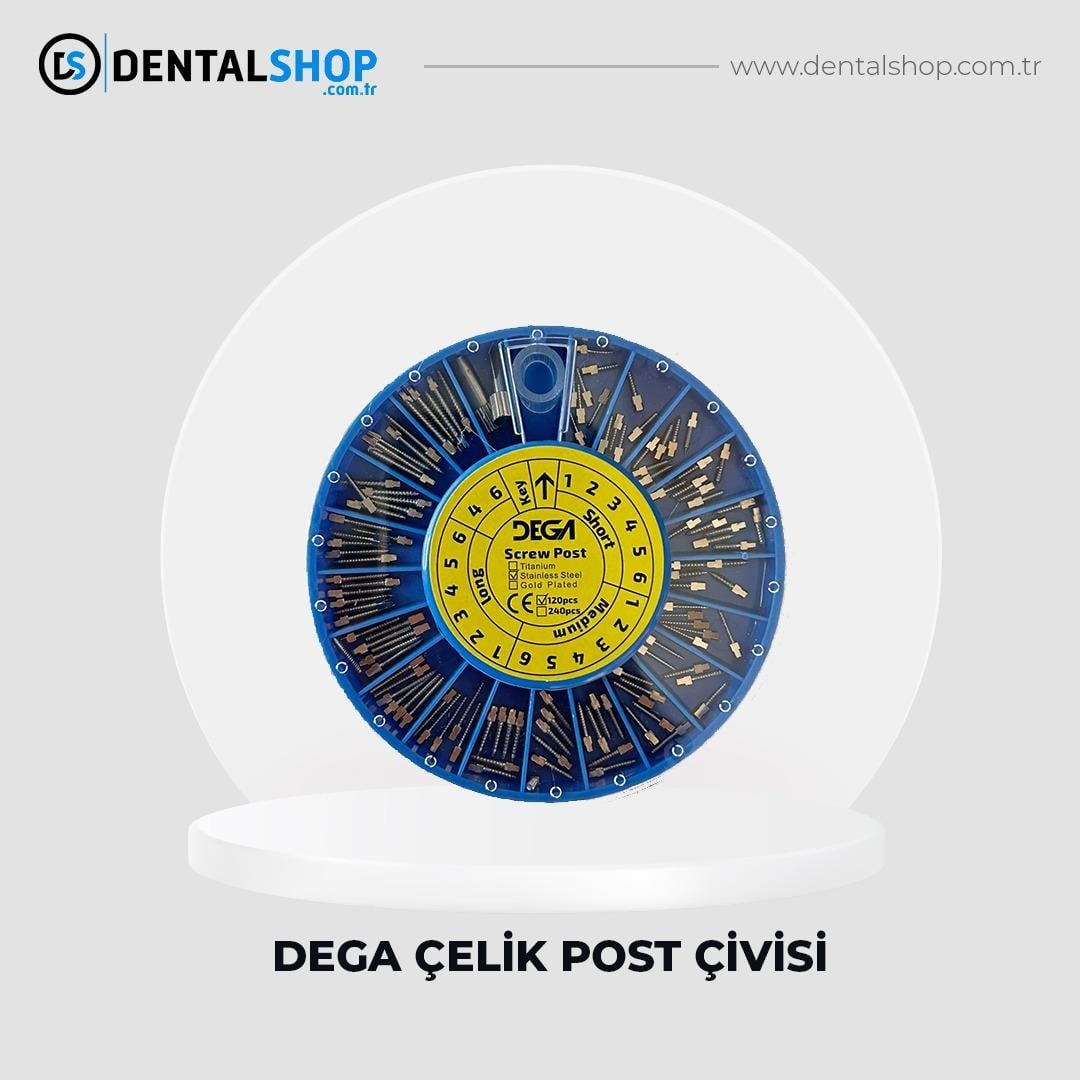 DEGA POST ÇİVİSİ ÇELİK 120'LİK 