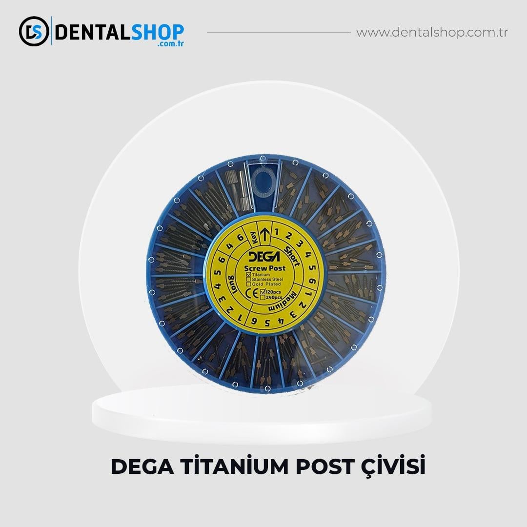 DEGA TİTANYUM POST ÇİVİSİ 120'LİK