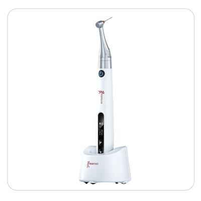 WOODPECKER ENDO PACE ENDOMOTOR