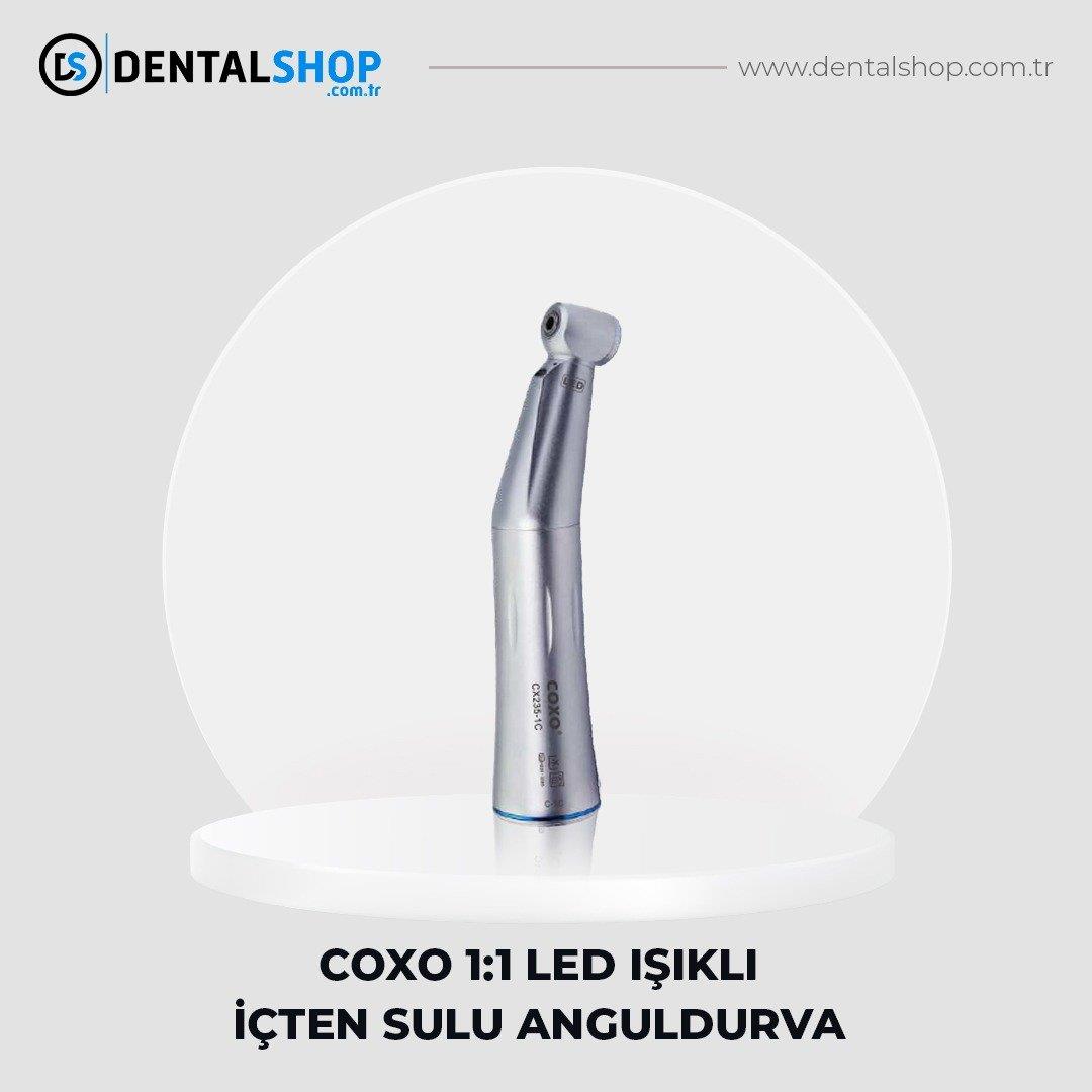 COXO 1:1 İÇTEN SULU IŞIKLI ANGULDURVA (C-1C)