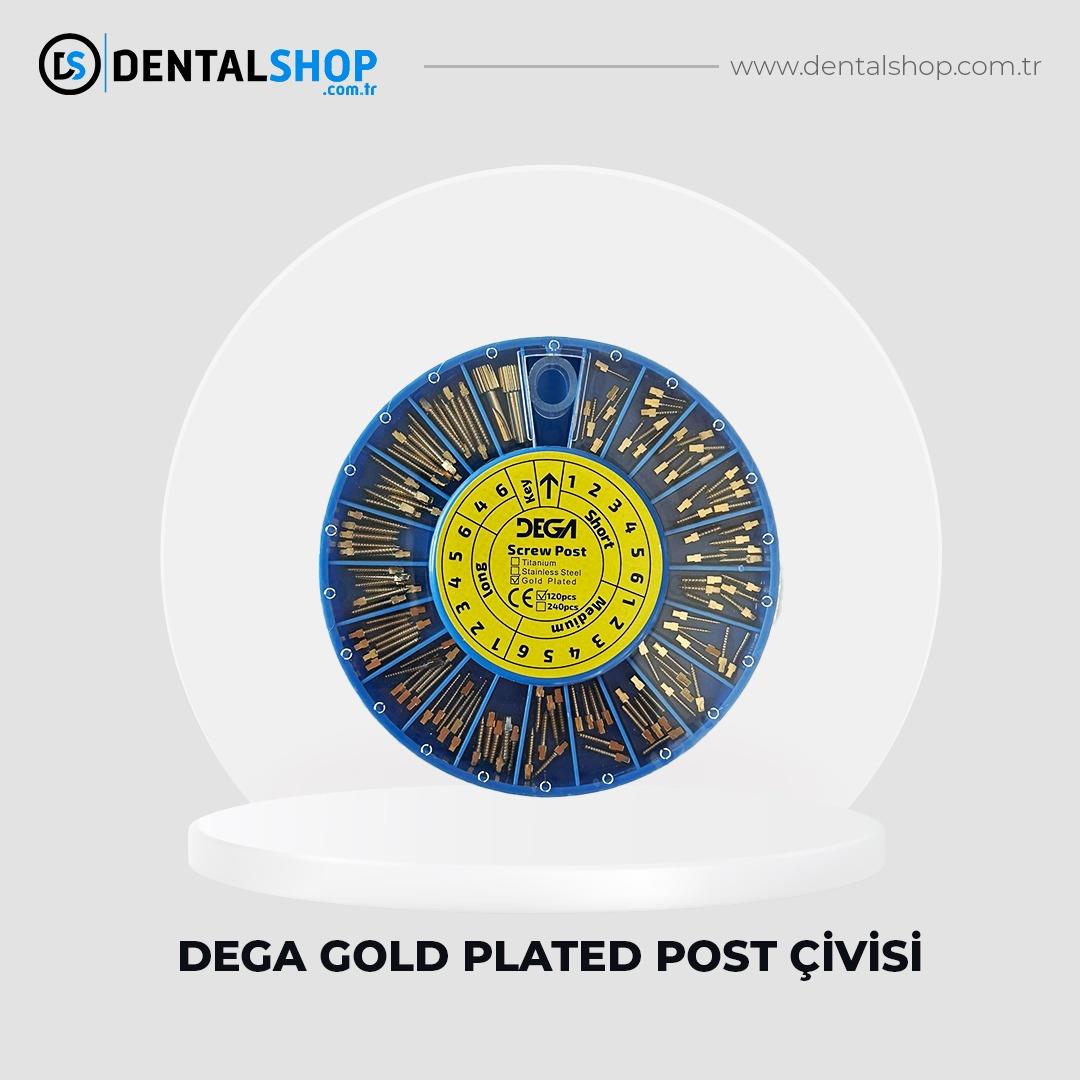 DEGA GOLD PLATED POST ÇİVİSİ 120'LİK