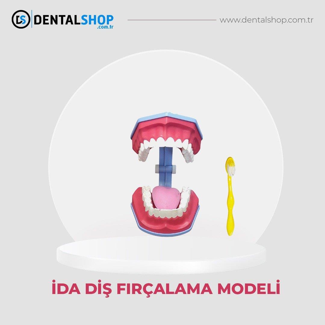 DİŞ FIRÇALAMA MODELİ