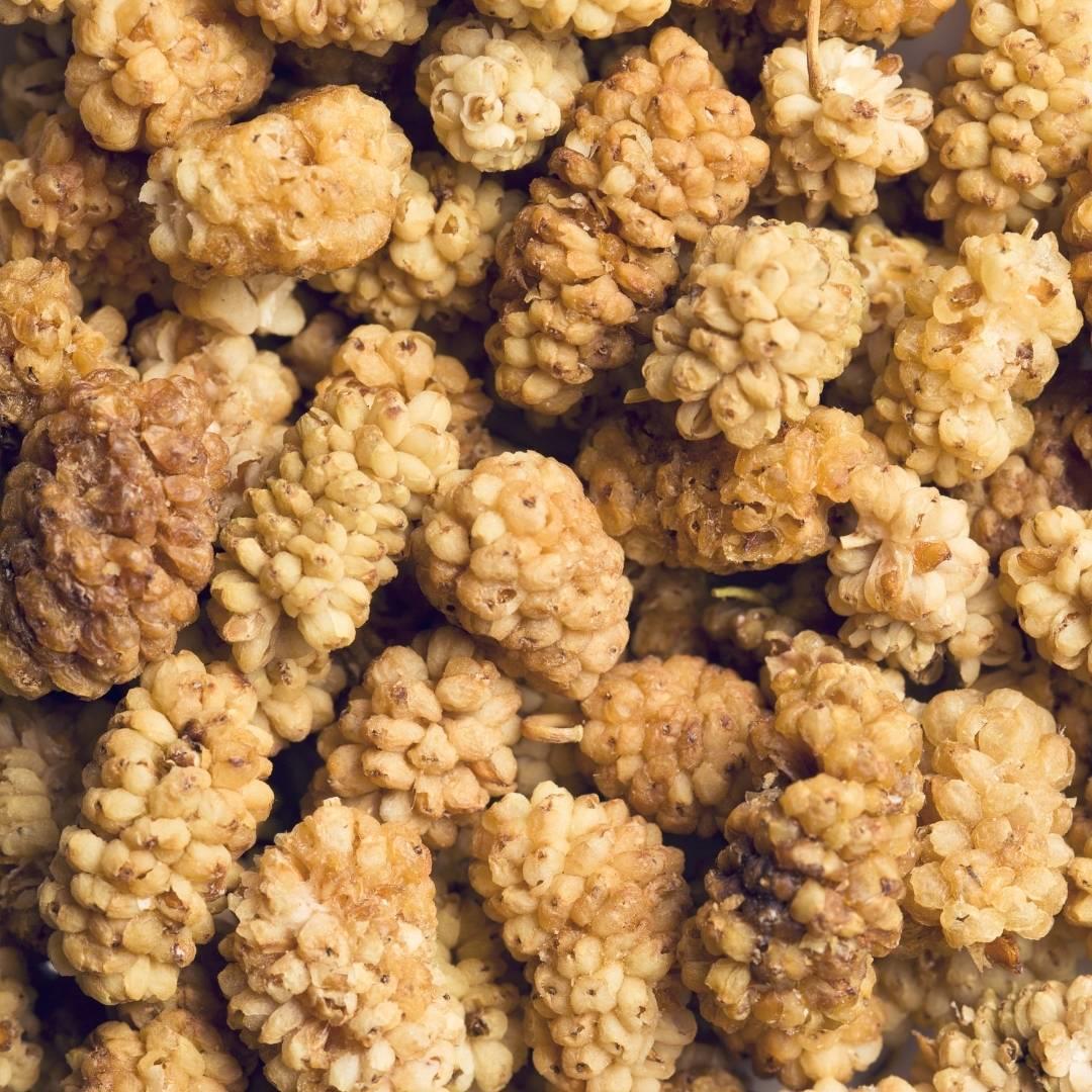 Organut Dut Kurusu 400 gr.