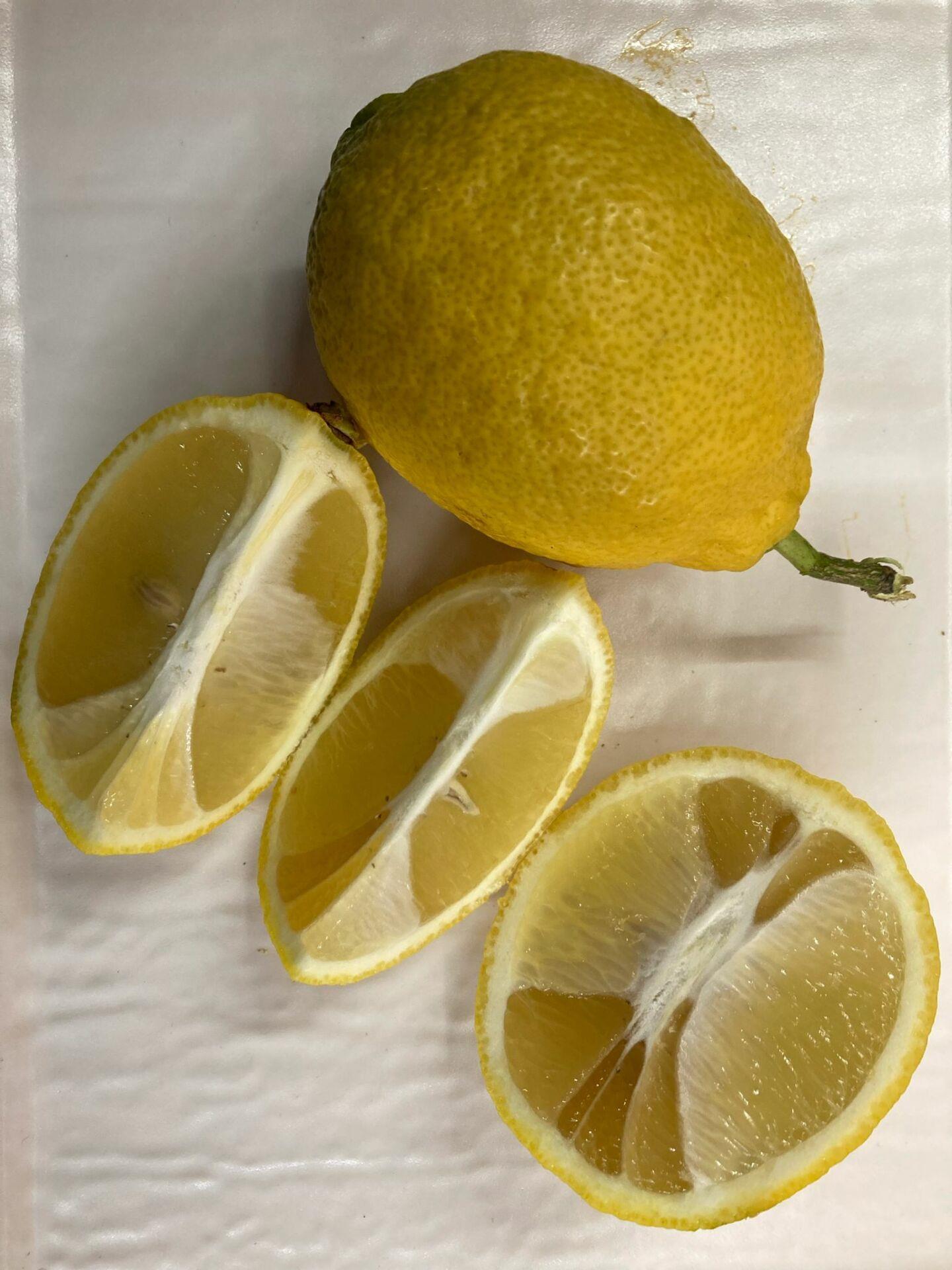 DİKENLİ LİMON 1 KG