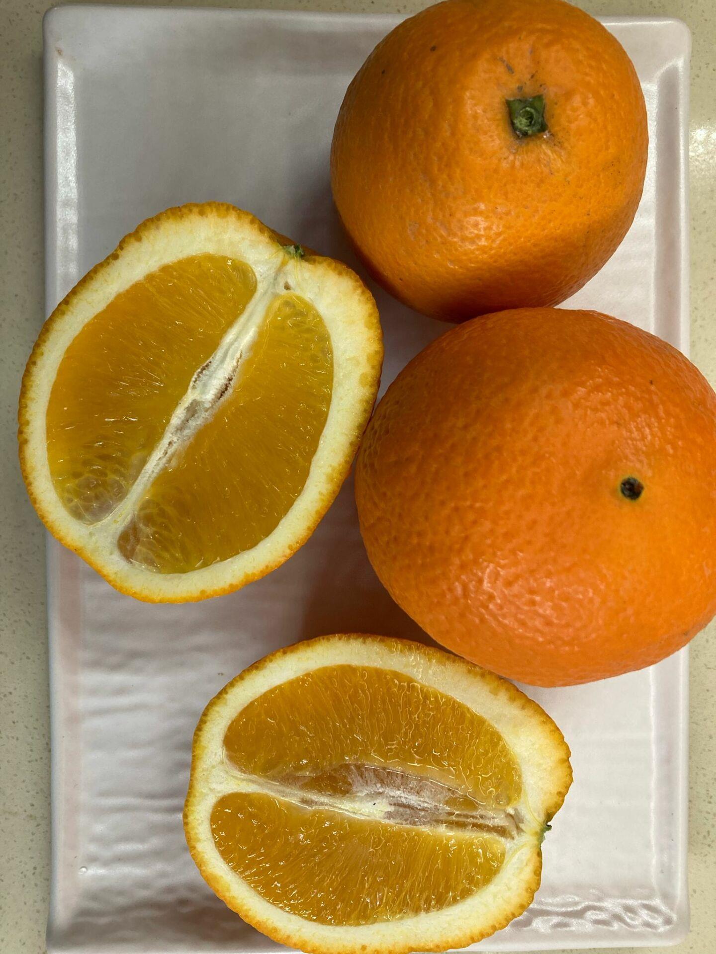 YAFA PORTAKAL 1 KG