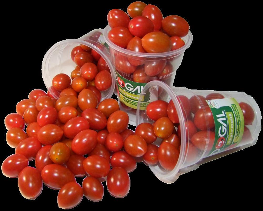 Şeker Domates 3 KG