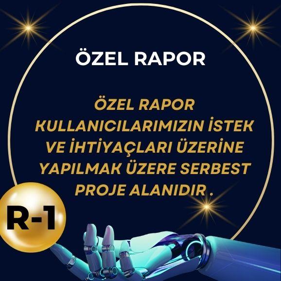 ÖZEL RAPOR ÖZEL RAPOR KULLANICILARIMIZIN İSTEK VE İHTİYAÇLARI ÜZERİNE YAPILMAK ÜZERE SERBEST PROJE ALANIDIR .
