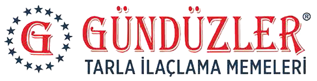 GÜNDÜZLER 