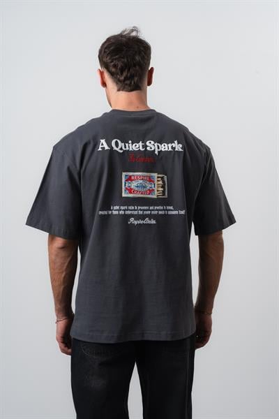 Spark Nakış Baskı Oversize Tshirt