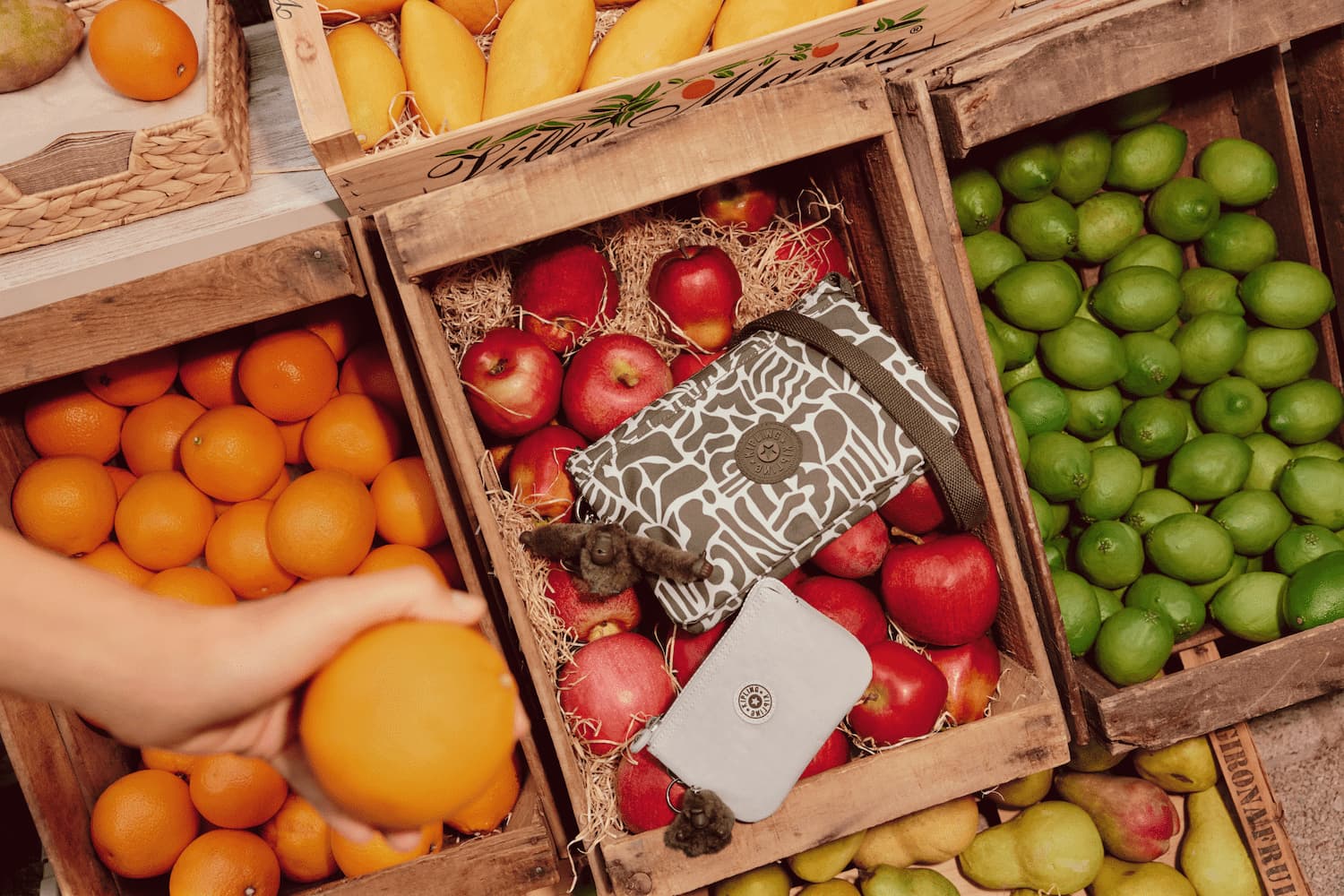 Cüzdan Renkleri Ne Anlama Gelir? Şans, Para ve Enerji