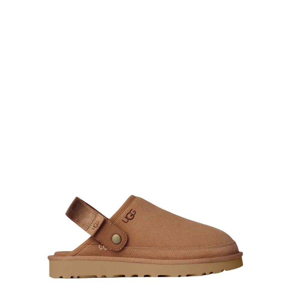 M Goldencoast Clog II Ugg Erkek Süet Kapalı Terlik