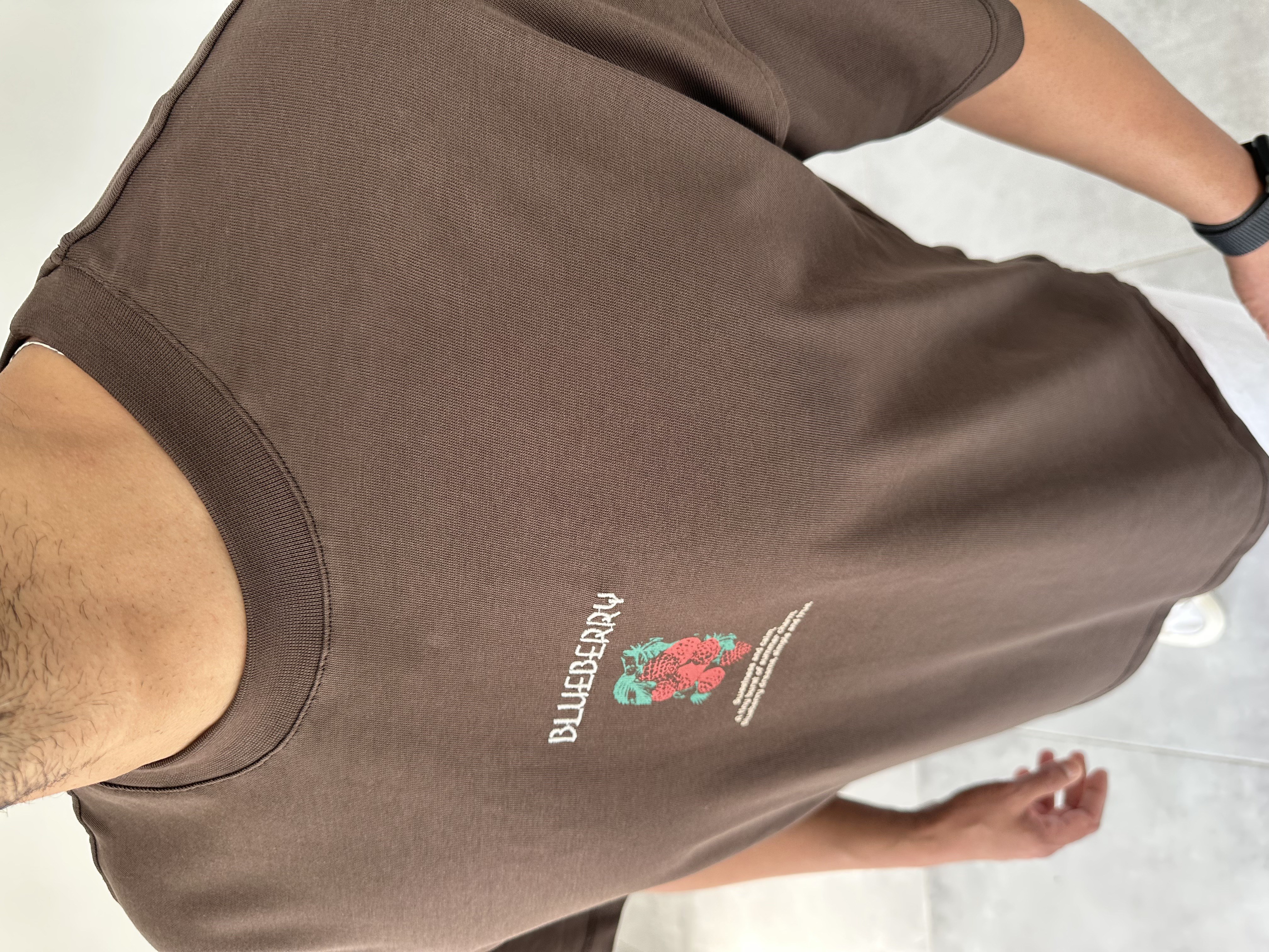 Kahve Renk Blueberry Nakış Ve Baskı Detaylı Oversize T-Shirt