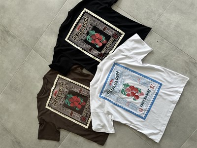 Beyaz Renk Blueberry Nakış Ve Baskı Detaylı Oversize T-Shirt