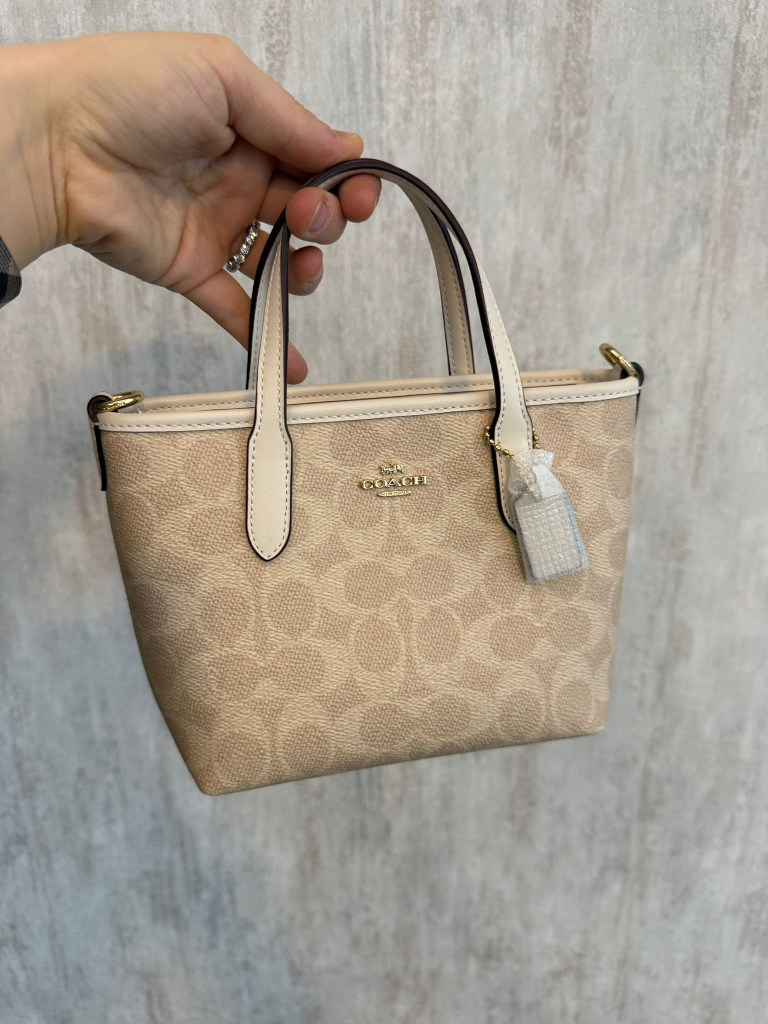 Coach Gallery Tote Mini Çanta