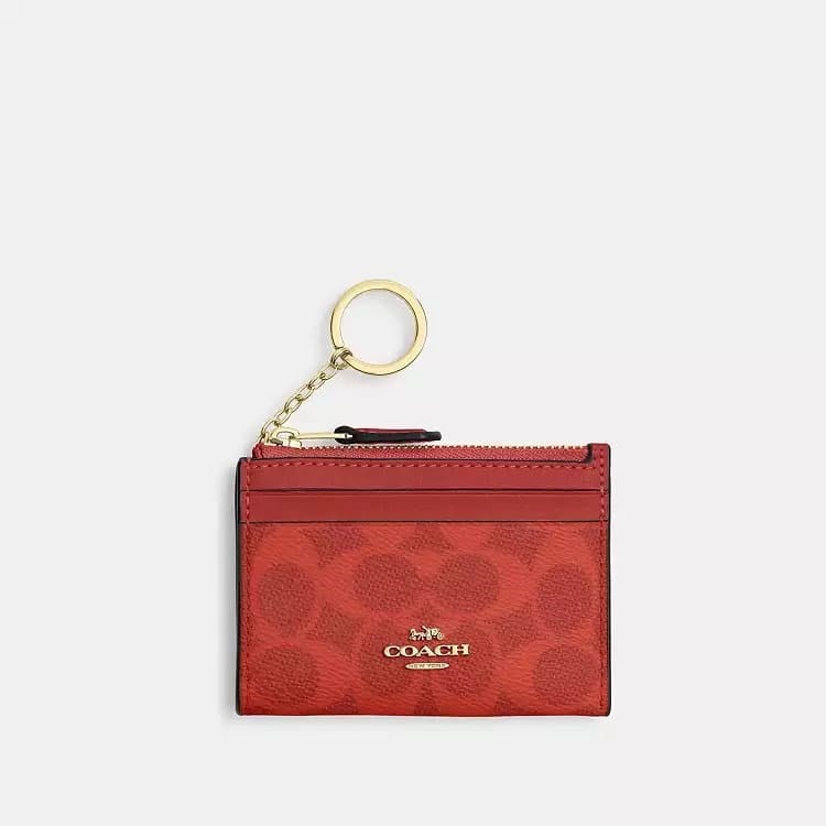 Coach Mini Skinny Kartlık