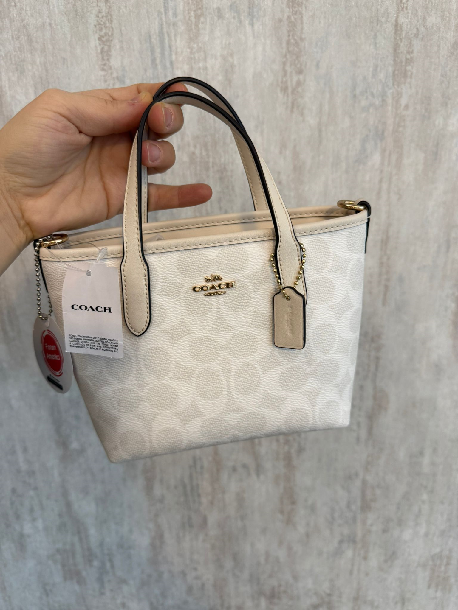 Coach Gallery Tote Mini Çanta
