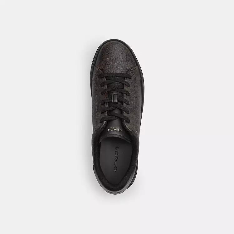 Coach High Line Sneakers