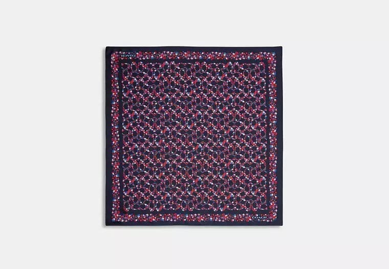 Coach Navy Multi Eşarp